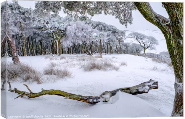 Beautiful winter woods Canvas Print by geoff shoults