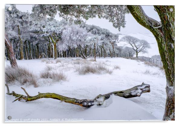 Beautiful winter woods Acrylic by geoff shoults