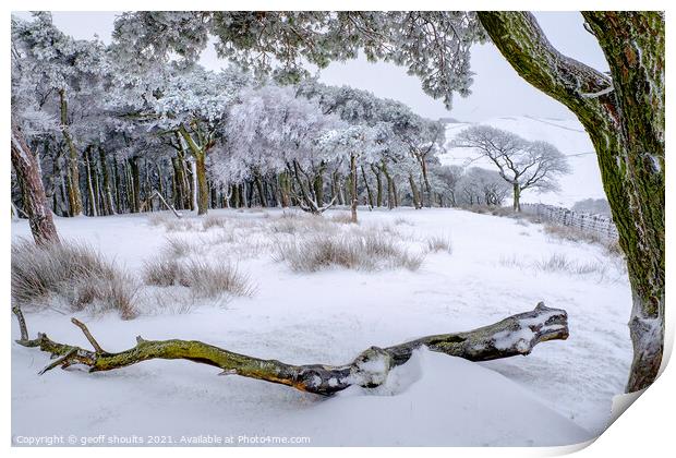 Beautiful winter woods Print by geoff shoults