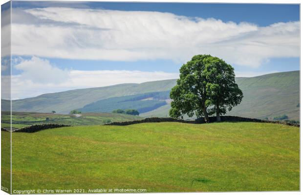 Wensleydale countryside North Yorkshire England Canvas Print by Chris Warren