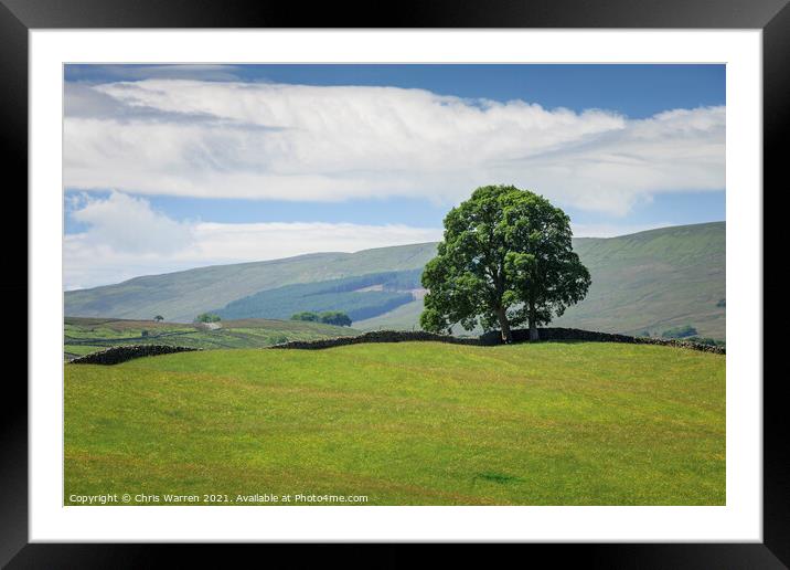 Wensleydale countryside North Yorkshire England Framed Mounted Print by Chris Warren