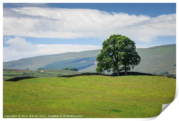 Wensleydale countryside North Yorkshire England Print by Chris Warren