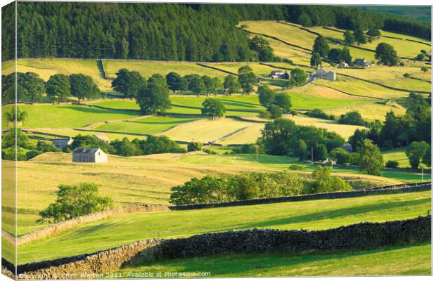 Countryside in Wharfedale North Yorkshire Canvas Print by Chris Warren