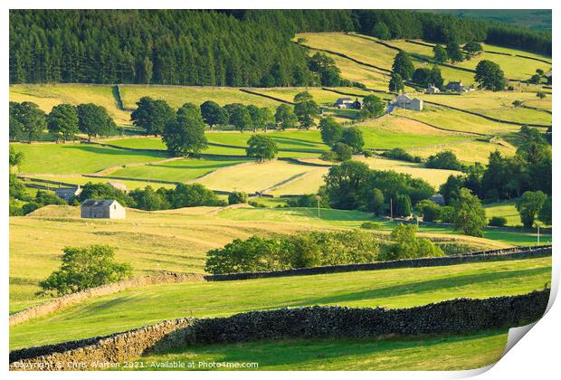 Countryside in Wharfedale North Yorkshire Print by Chris Warren