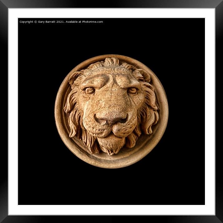 Lion Head Face Framed Mounted Print by Gary Barratt