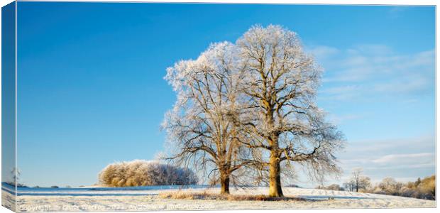 Rural countryside Carmarthenshire in winter Canvas Print by Chris Warren