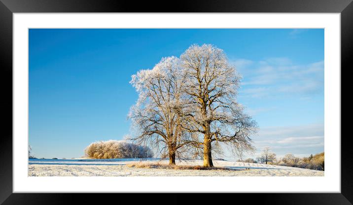 Rural countryside Carmarthenshire in winter Framed Mounted Print by Chris Warren