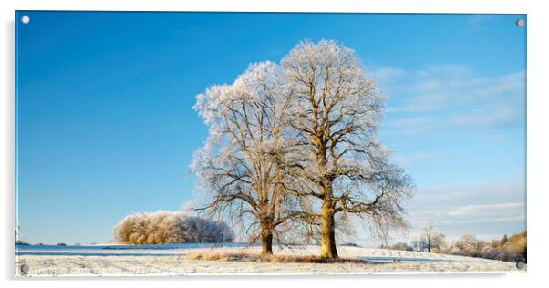 Rural countryside Carmarthenshire in winter Acrylic by Chris Warren