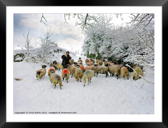 Winter feed in the Yorkshire Dales. Framed Mounted Print by Chris North