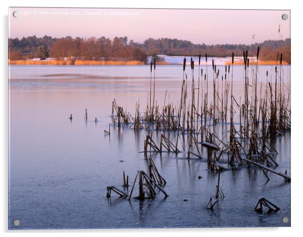 Icy Frensham Pond Surrey Acrylic by Pearl Bucknall