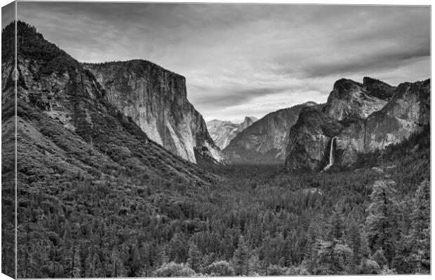 A Stormy Tunnel View Canvas Print by Ray Hill