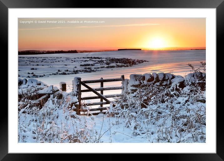 Gateway to a Winter Sunrise in the North Pennines, Teesdale. Framed Mounted Print by David Forster