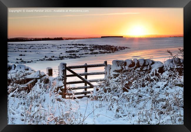 Gateway to a Winter Sunrise in the North Pennines, Teesdale. Framed Print by David Forster