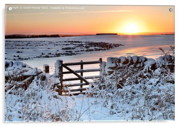 Gateway to a Winter Sunrise in the North Pennines, Teesdale. Acrylic by David Forster