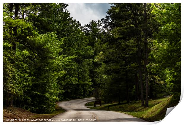 Road to Greenery Print by Panas Wiwatpanachat