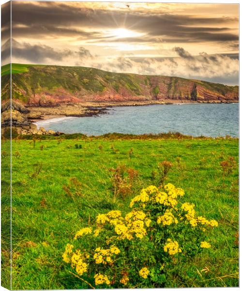 Barafundle Vista, Pembrokeshire, Wales, UK Canvas Print by Mark Llewellyn