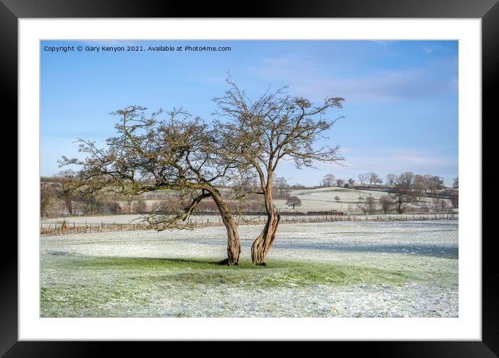 Two Tree's in a snowy field Framed Mounted Print by Gary Kenyon