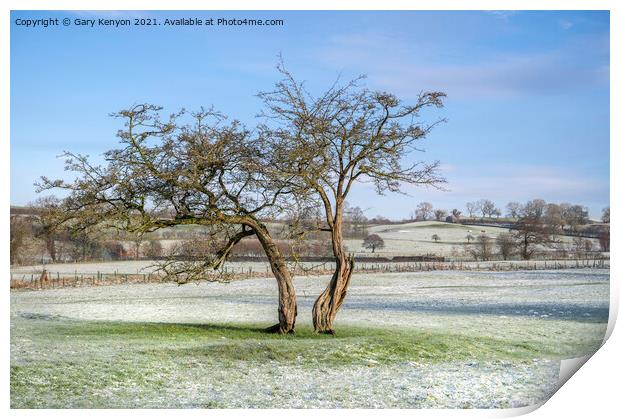 Two Tree's in a snowy field Print by Gary Kenyon