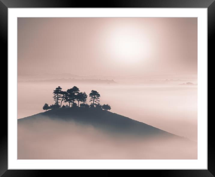 Colmer's so Soft Framed Mounted Print by David Neighbour