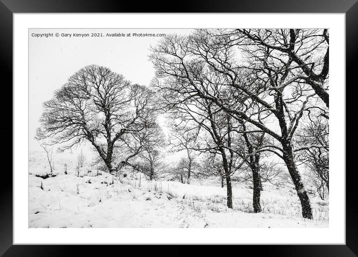 Winter Tree's Framed Mounted Print by Gary Kenyon