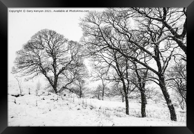 Winter Tree's Framed Print by Gary Kenyon