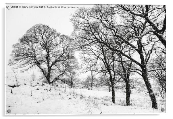 Winter Tree's Acrylic by Gary Kenyon