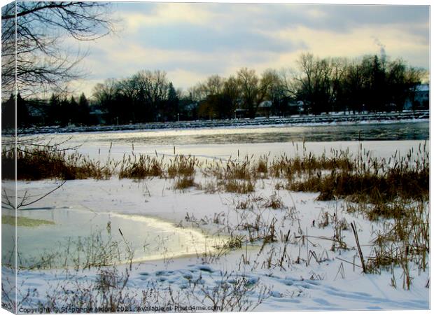 A winter Afternoon Canvas Print by Stephanie Moore