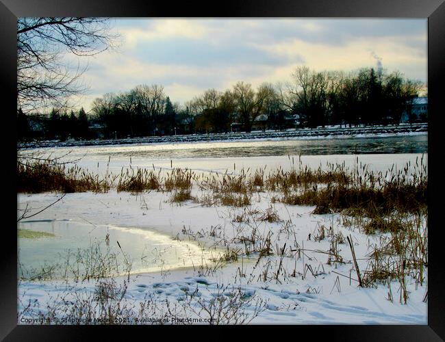 A winter Afternoon Framed Print by Stephanie Moore