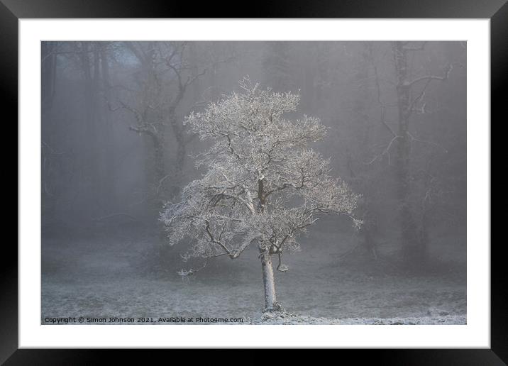 tree in fog Framed Mounted Print by Simon Johnson