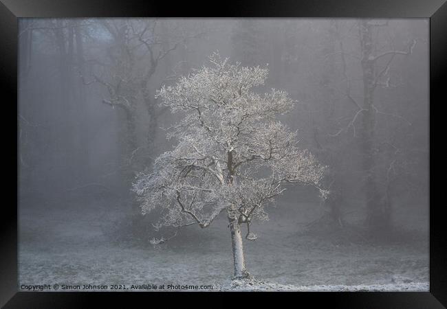 tree in fog Framed Print by Simon Johnson