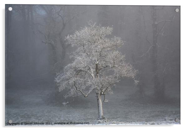 tree in fog Acrylic by Simon Johnson