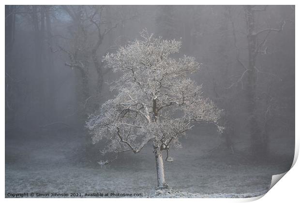 tree in fog Print by Simon Johnson