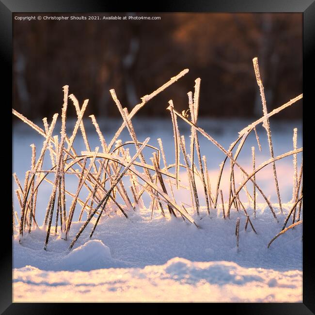 Abstract view of frosted vegetation  Framed Print by Christopher Shoults