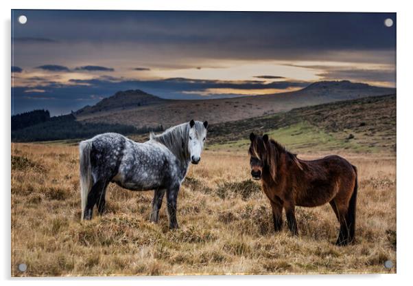 Dartmoor Ponies, Devon, UK. Acrylic by Maggie McCall