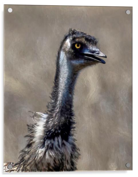 Old man emu ... Acrylic by Paul W. Kerr