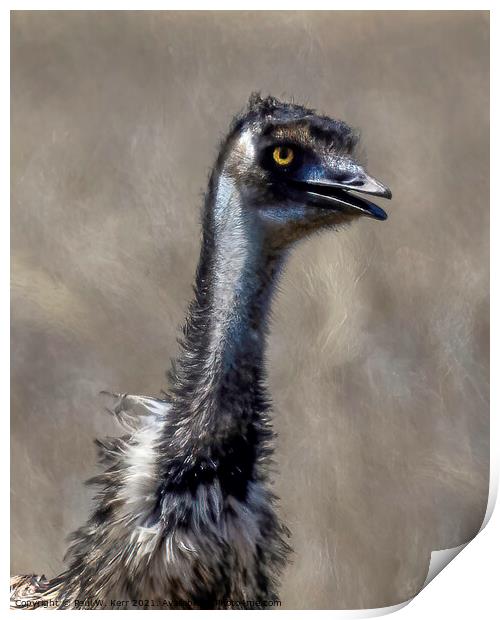 Old man emu ... Print by Paul W. Kerr