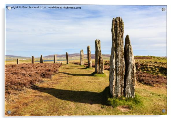 Ring of Brodgar on Orkney Acrylic by Pearl Bucknall