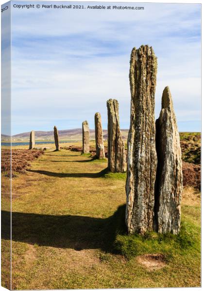 Ring of Brodgar on Orkney Canvas Print by Pearl Bucknall