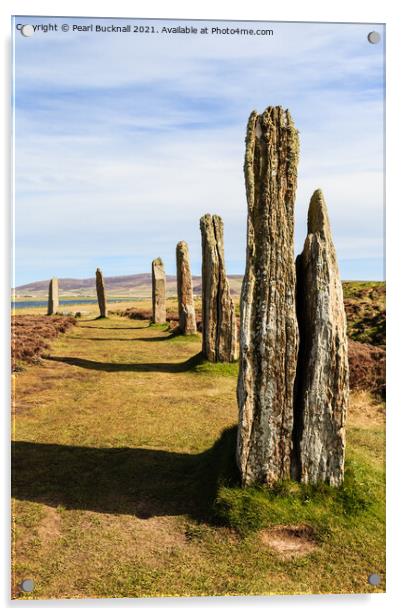 Ring of Brodgar on Orkney Acrylic by Pearl Bucknall
