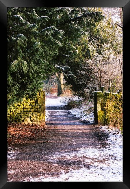 A Winter's Trail Framed Print by Trevor Camp