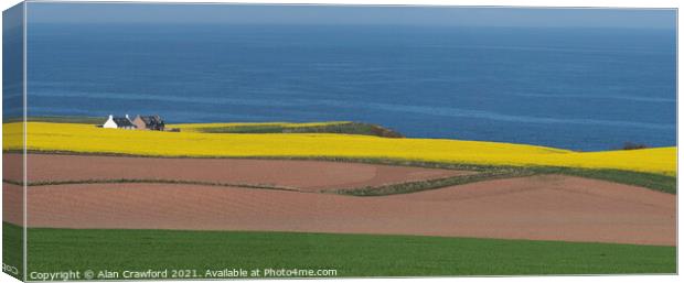 Croft and farm fields on the Scottish coast Canvas Print by Alan Crawford