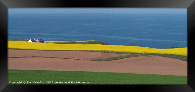 Croft and farm fields on the Scottish coast Framed Print by Alan Crawford