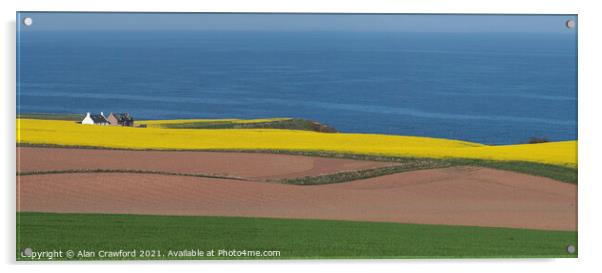 Croft and farm fields on the Scottish coast Acrylic by Alan Crawford