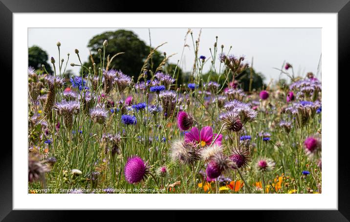 Wild flower meadow Framed Mounted Print by Simon Belcher