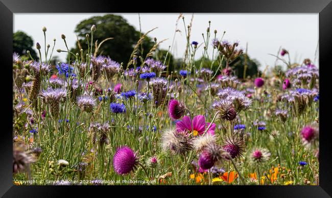 Wild flower meadow Framed Print by Simon Belcher