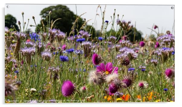 Wild flower meadow Acrylic by Simon Belcher