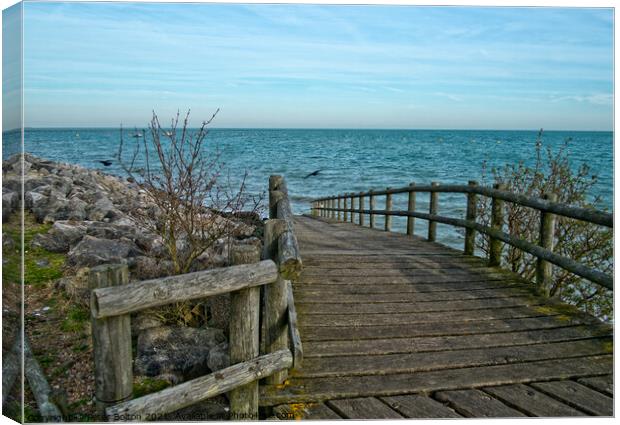 Wooden walkway leading to East Beach at Shoeburyness, Essex, UK. Canvas Print by Peter Bolton