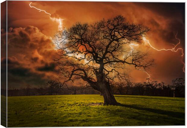 Hells Bells _ Thunderstruck Tree Canvas Print by Dave Williams