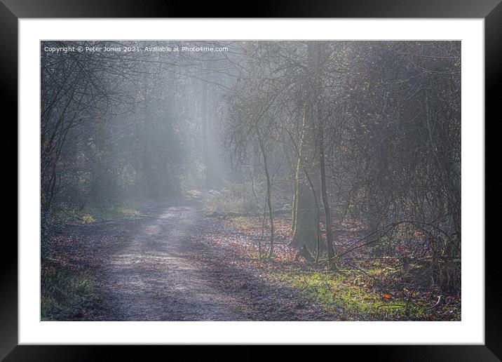 Woodland mist in Winter. Framed Mounted Print by Peter Jones