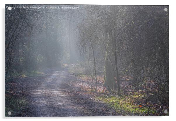 Woodland mist in Winter. Acrylic by Peter Jones